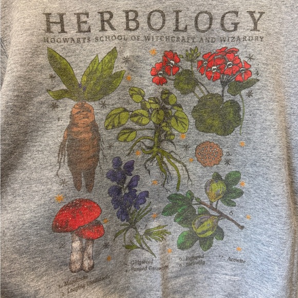 Gray Harry Potter Herbology Graphic Sweater, size Small - Picture 3 of 3